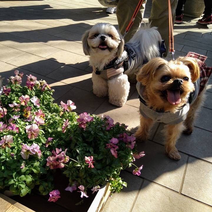 Ecb8cb3a 9b61 4f6b 84a3 5a0d9ac96b22 1613303754658