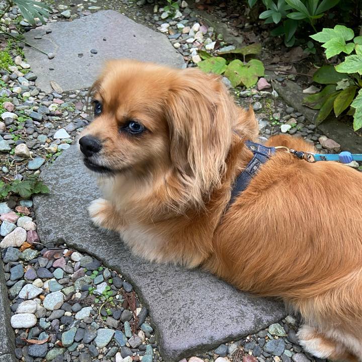 Ecb8fb4b 61fa 4cea 9f7a 7443780ed470 1594590960237