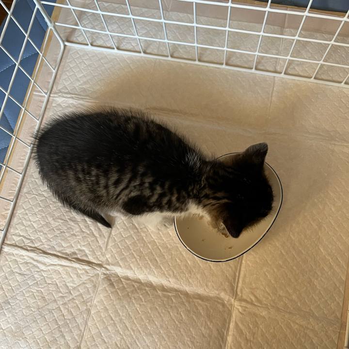 Ecb90b9f dbd2 445b a801 c503f50d33c5 1763864087051