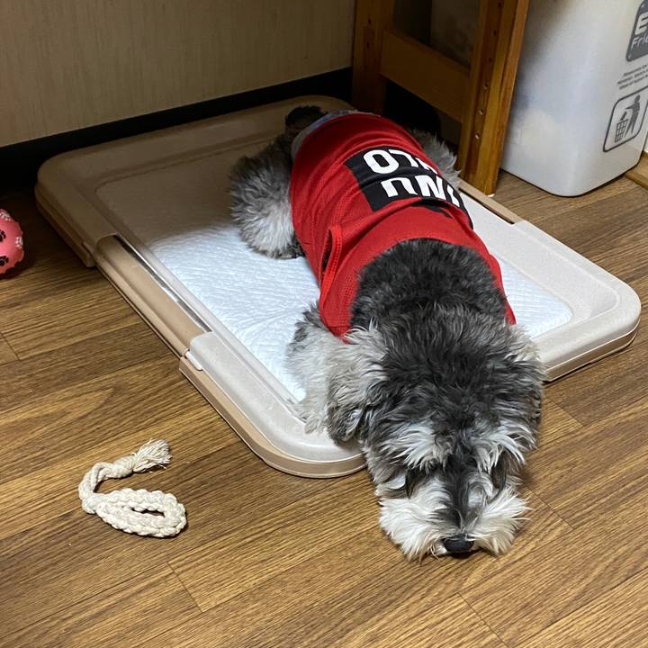 Ecb94c9a 13ef 4042 bd71 d652da66beca 1584802061219