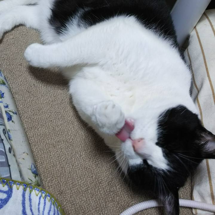 Ecb963a0 ae39 42ea 9933 444e5366edff 1537429515596