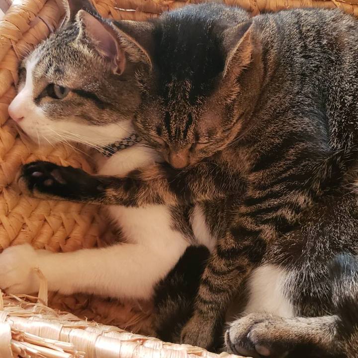 Ecb9c6c7 ec47 4928 a65a c9b5f74a573a 1569482791696