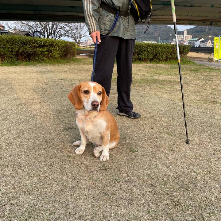 Ecb9cf3b 40a9 46ea a0a6 a3bd2c91ebf7 1678458452472