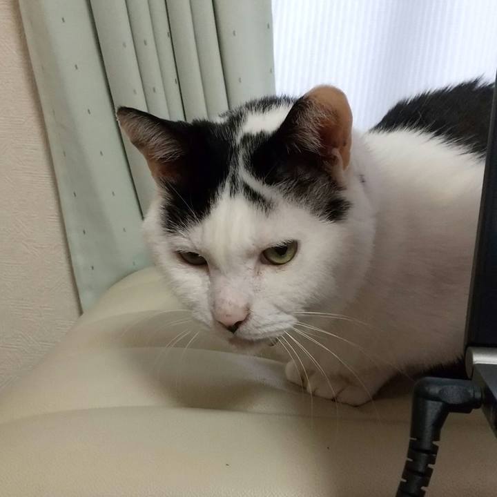 Ecb9e55b 2f75 4be9 8553 99306fbe16a4 1652591030863