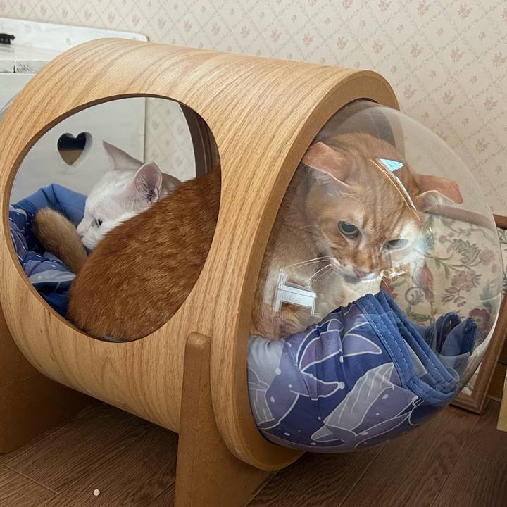 Ecb9e639 73ef 43f6 b35d 4e6f03434af1 1686108427623