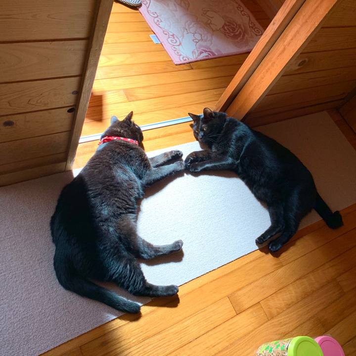 Ecba107c 193d 4e24 9811 2e8436789669 1591748135082