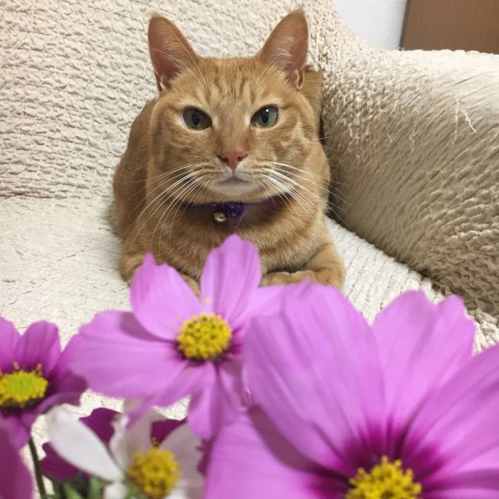 Ecba1f33 d589 4b98 a936 0e353ef9c5d3 1605533955761