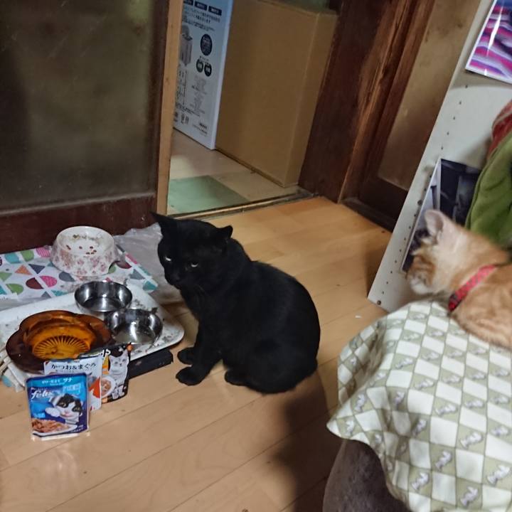 Ecba24e2 6ec8 4acb 93fb edeb23a73c79 1628164292665