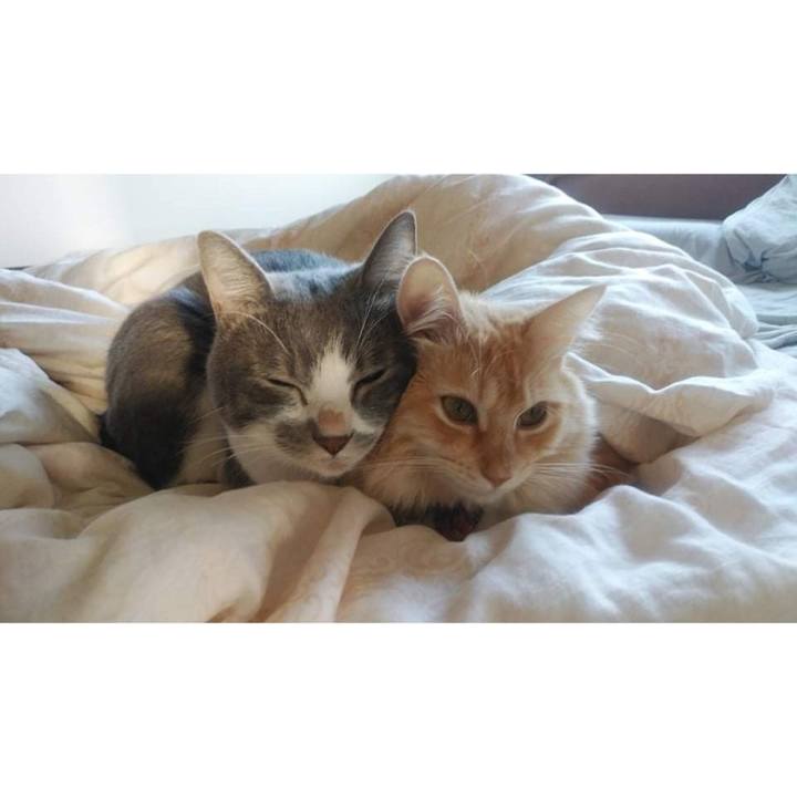 Ecba4161 b2b2 4236 8b21 d383eef38568 1634511349780