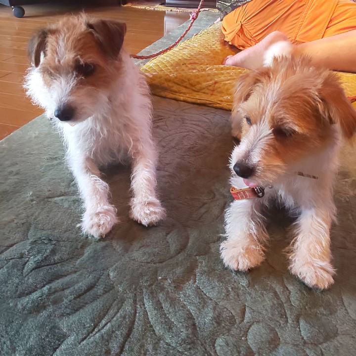 Ecba4201 da4a 4a32 a47b 8a32f8f11e7d 1630197199415