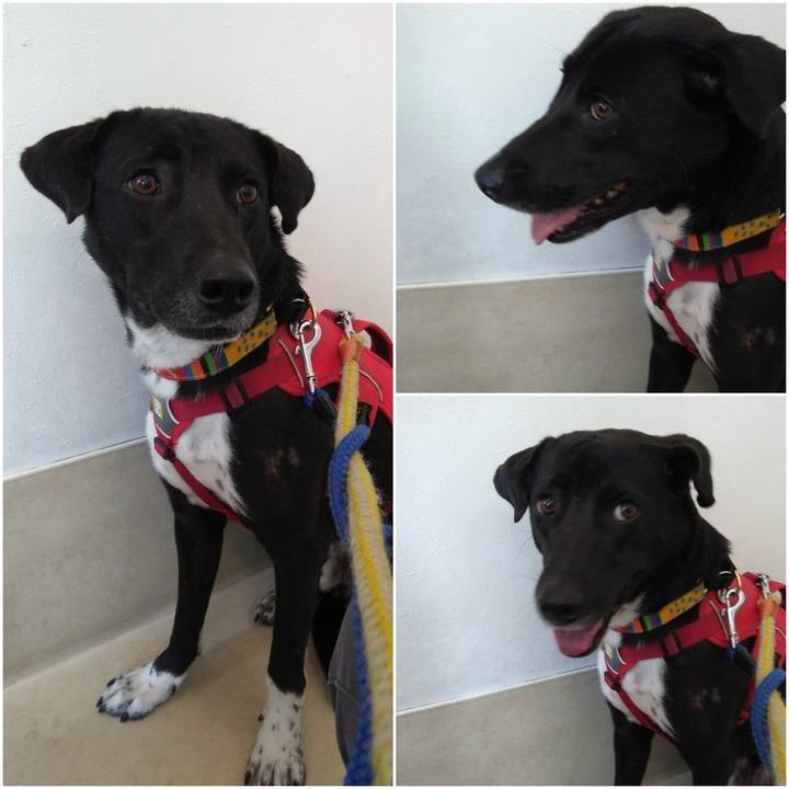 Ecba5f74 3e4d 4173 ab9e 87791ee0f113 1585282647051