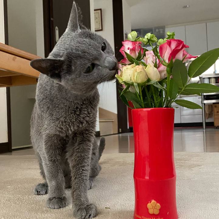 Ecba674a a252 436e 9cb4 586fc1c60941 1622721523902