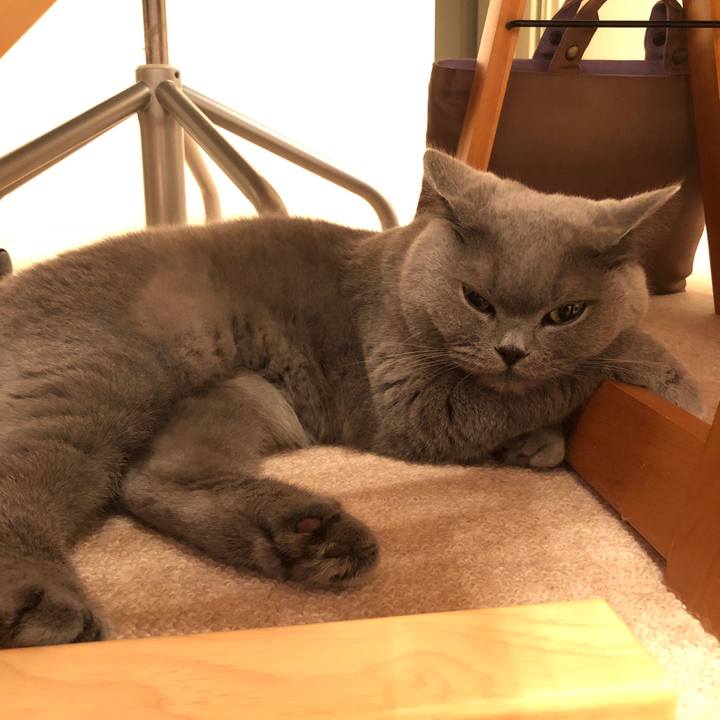 Ecba770f a4b7 4fb0 af42 b023d4ca16b9 1544232132463