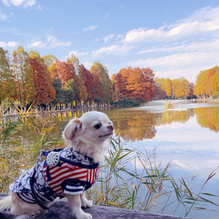 Ecba7f62 7e43 4953 b9bc ecac1875fdcc 1700724588983