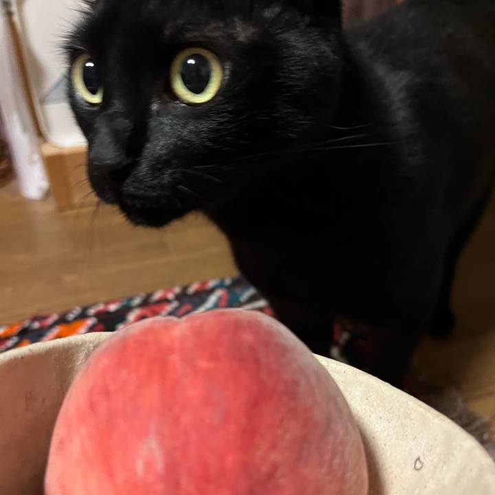 Ecba8dec 67b7 43a7 b42f 00f7b03fade0 1753271444232