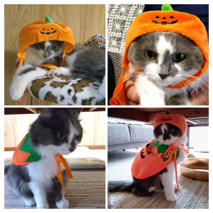 Ecba9aca cf17 41a3 bff5 1dfd10b08710 1725778529593