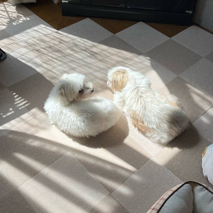 Ecbad47c 7177 403d aa50 f528135ed8ab 1697076700333