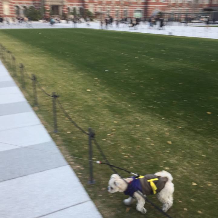 Ecbada49 ee54 432d ae2a 5c277a075046 1515322447300