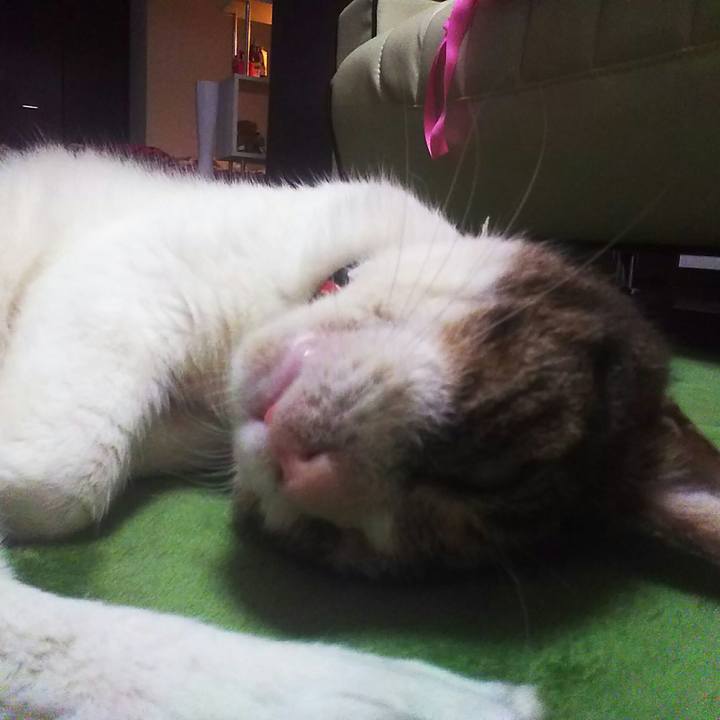 Ecbade26 f926 4e8e a4c9 03770f6c6d6b 1564563816879