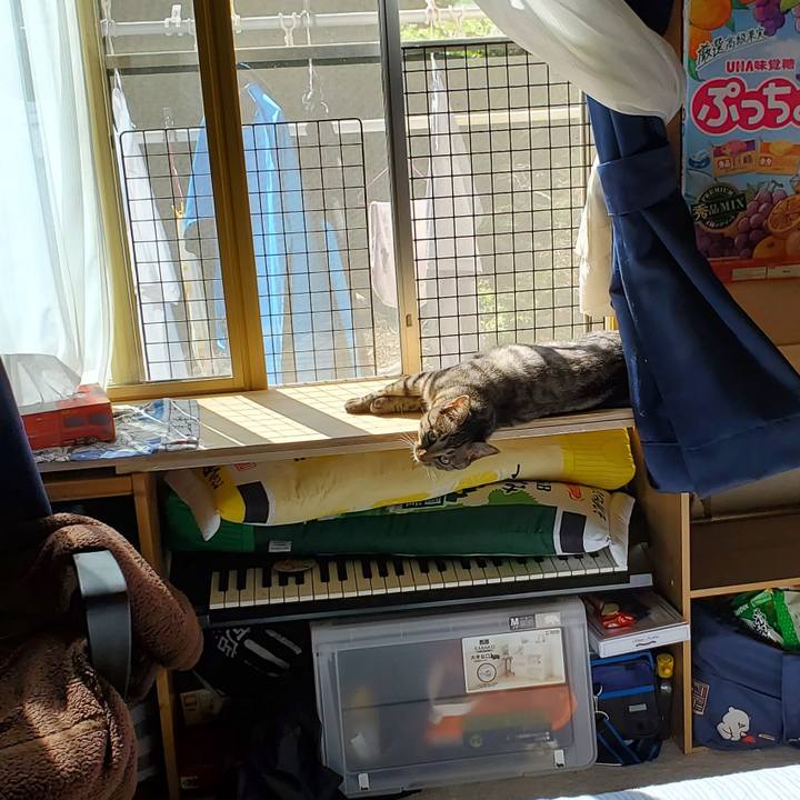 Ecbb120b 089c 4b4f a20b bd54d7d89684 1694262777634