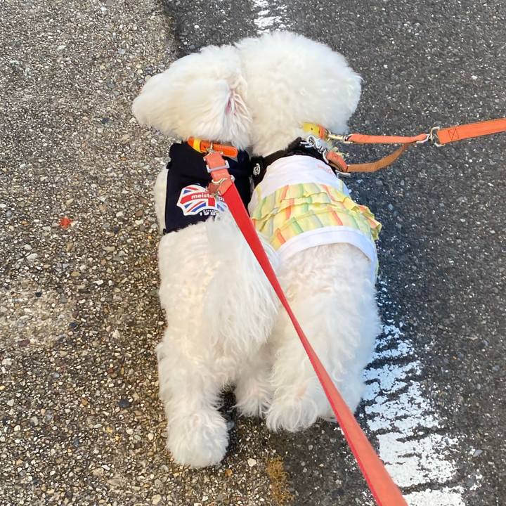 Ecbb2f2d c1dc 4d6d 8138 9b7e51a381d6 1751060166101