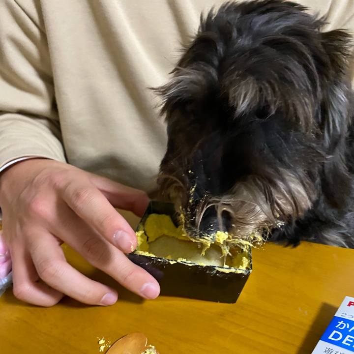 Ecbb34f1 6b6b 4306 b24b e4f97daaf919 1607954322329