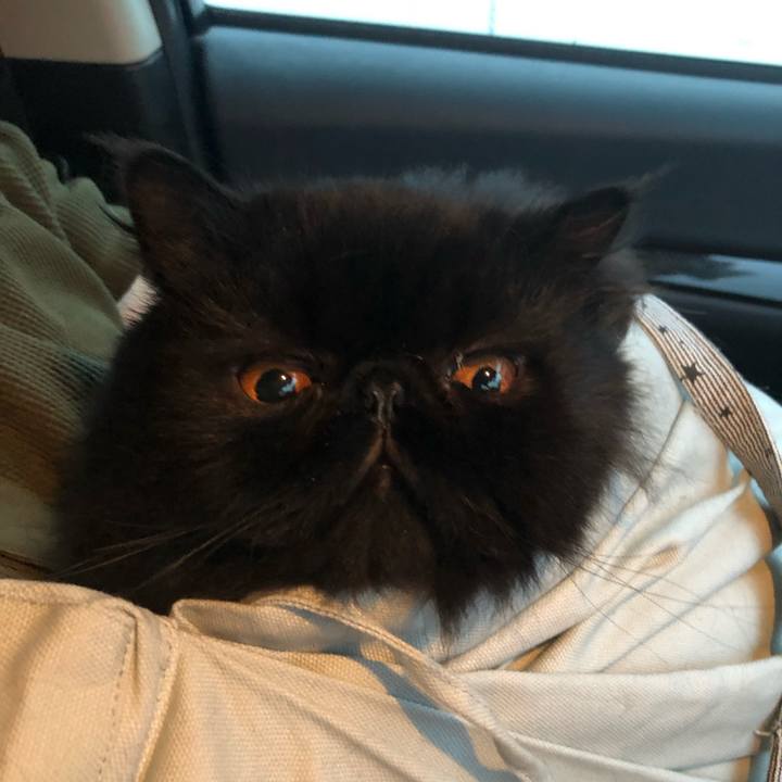 Ecbb61aa 1618 4d1c 80c3 a4f83a37b5b6 1624108360137