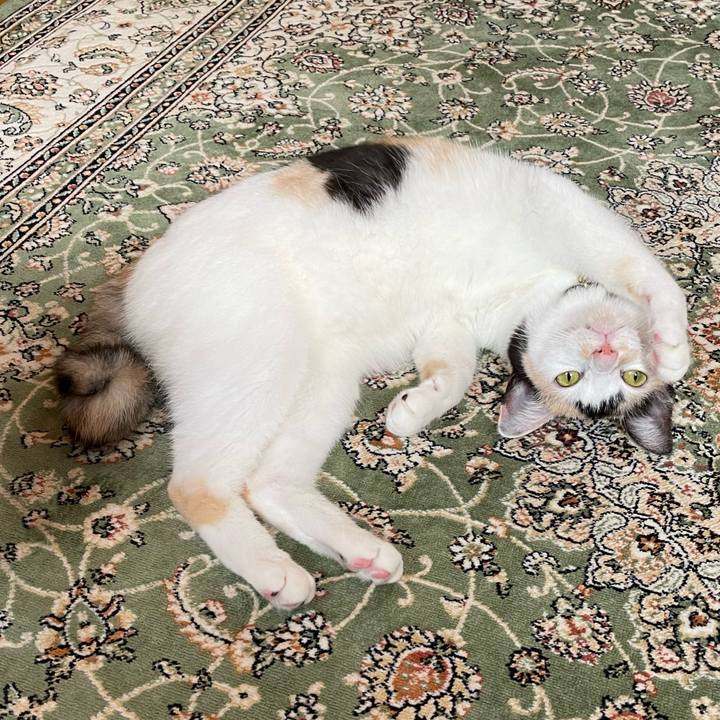 Ecbb6340 192e 4e92 8e27 4fea315fb938 1694384677564