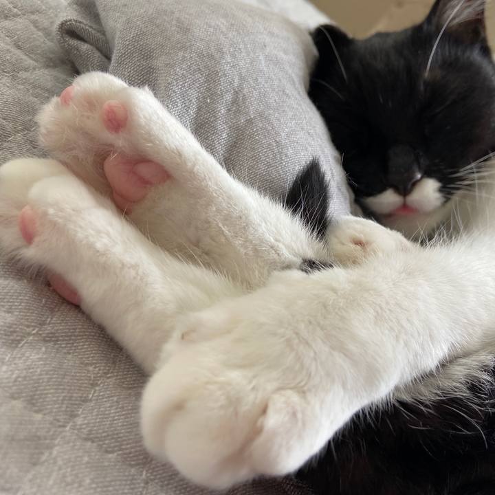 Ecbba407 89b4 4ef6 a2de 6479b01921f6 1631838189624