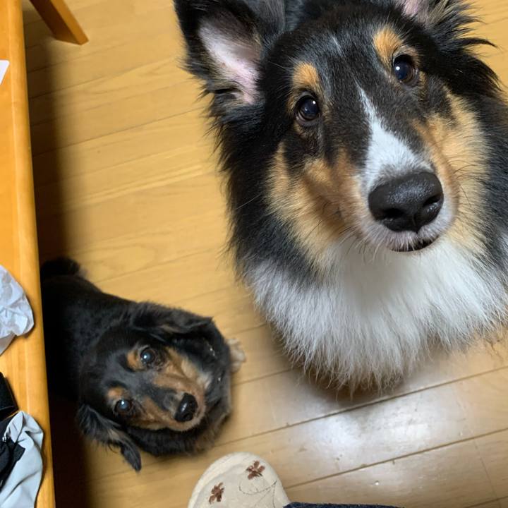 Ecbbdeea 327a 4d47 a93e ea87107e304e 1604527827493