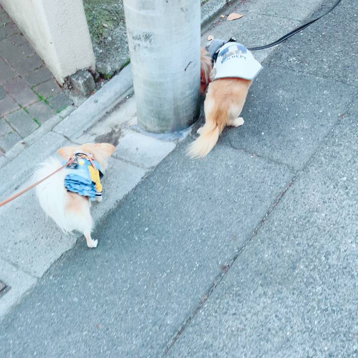 Ecbc0617 58e8 4390 af1d 166de1a81223 1704451274864