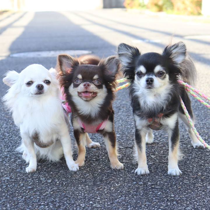 Ecbc12fe 791d 4cbf 9943 9e59a320819d 1753083264746