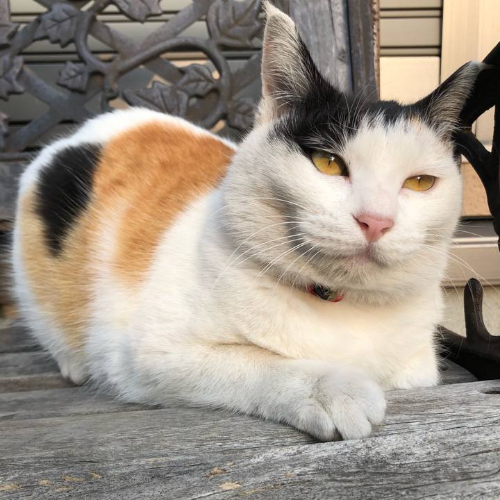 Ecbc2fb3 e68d 4848 87b8 632fa3e01833 1612656592898