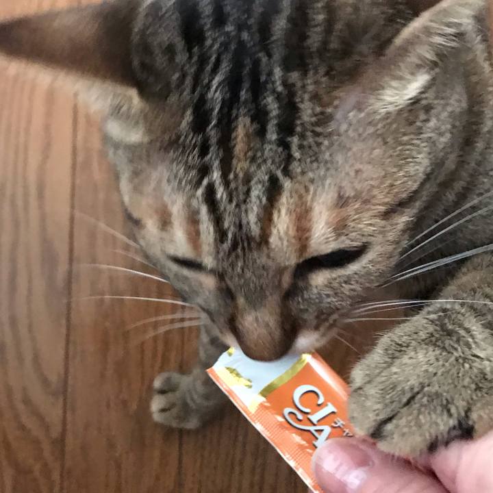 Ecbc92e7 22f0 45be 870b 835780cdf44b 1591489354240