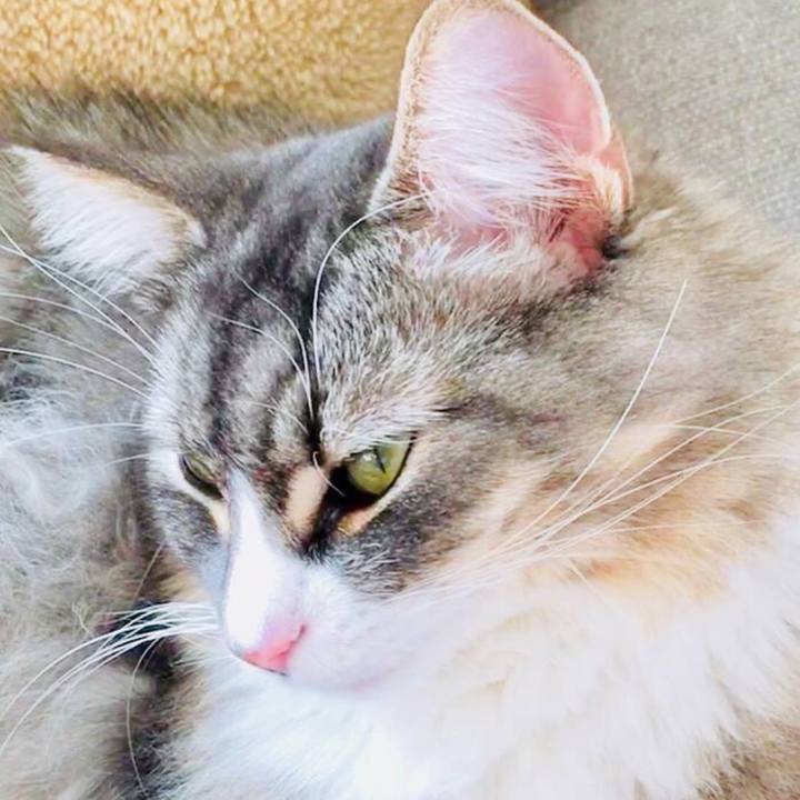 Ecbc9698 88ec 489c a521 fc35ee9a880c 1569119504444