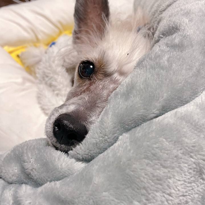 Ecbcd8c3 50da 41a1 93d0 505af1e6ffea 1767175159896