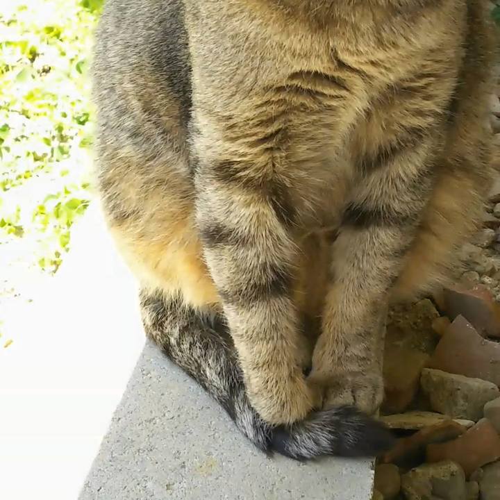 Ecbd261e 82b3 415f 8d30 44b425e6f94b 1557285969128