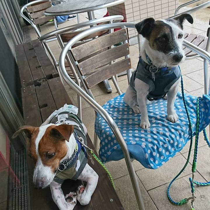 Ecbd381f e824 4589 9471 0435c22b0369 1592790942944