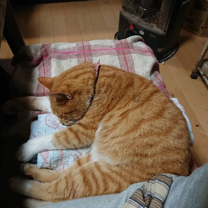 Ecbd8f83 e814 4e12 8b32 c58cad926454 1606032342908