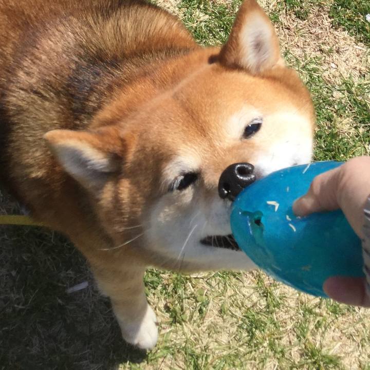 Ecbd9d58 ba98 4d04 b599 f5a43983a4e4 1555318330812