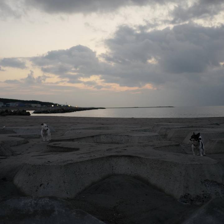 Ecbda26f 2e4e 4172 b7b6 5aadf704efc2 1508993252788