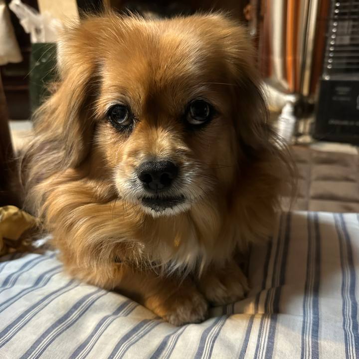 Ecbdaf05 7cc9 4bad b1fb 2465c4e21e71 1737926724611