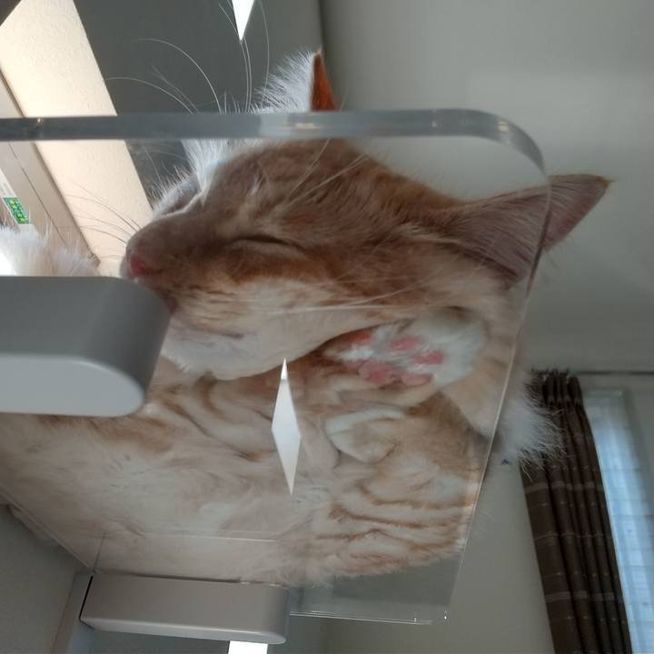 Ecbdc7da 7874 4682 b921 3b20a9fff107 1627777551679