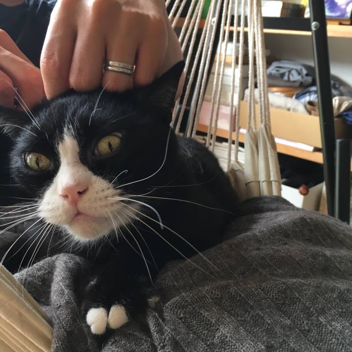 Ecbdde24 14e1 49d0 880a 4208382b8eb4 1532249585265