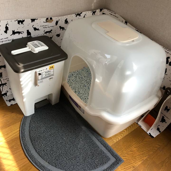 Ecbde81d 16f5 407a 9c17 21118cea2849 1572135793237