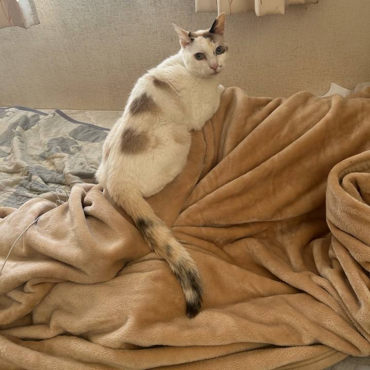 Ecbdeeb0 c1cf 4ed8 a4d7 43e5c44d86a4 1758585813471