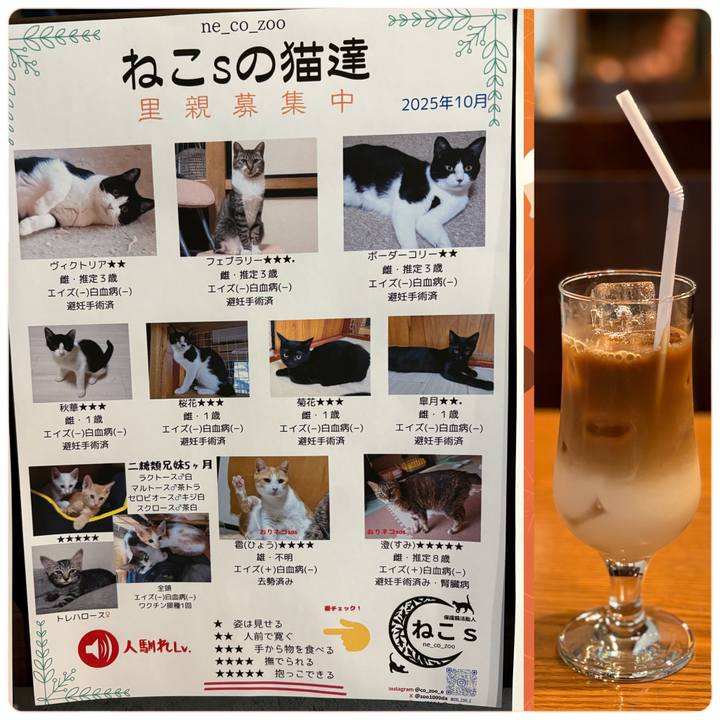 Ecbdf3ff 2768 48d4 b2f6 9cc35989de2b 1761368587303