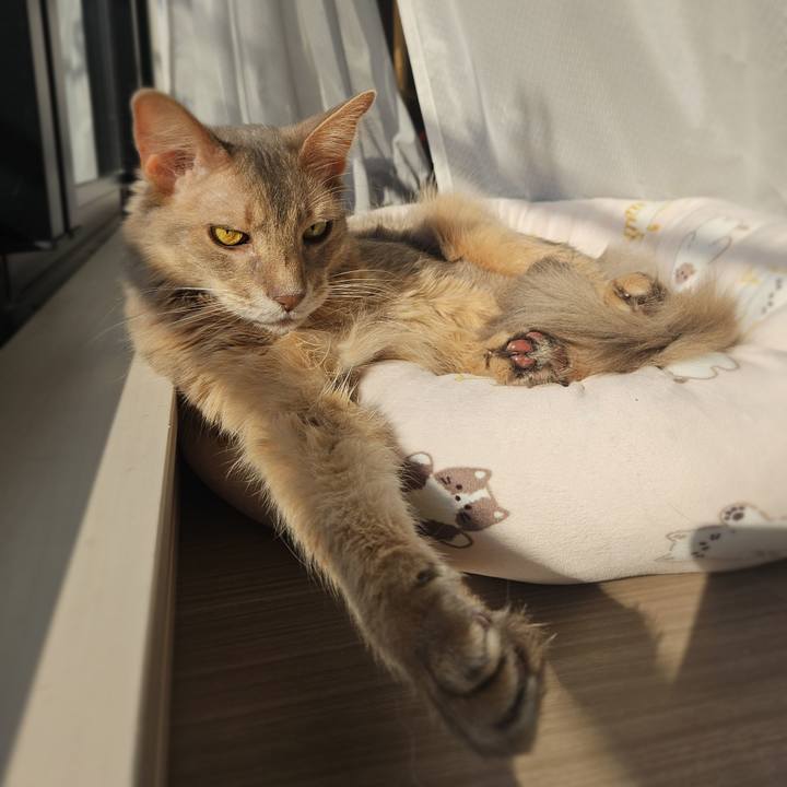 Ecbdf45d 92a5 43f4 80ef bd4d13a093f0 1774774474624