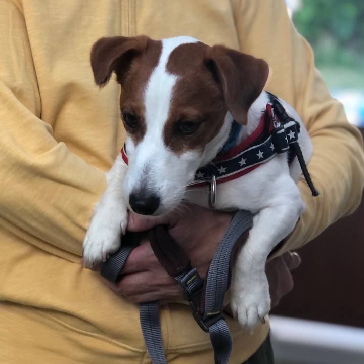 Ecbe0996 3a11 4f8b 8a8a 745250cd4a1b 1621321990493