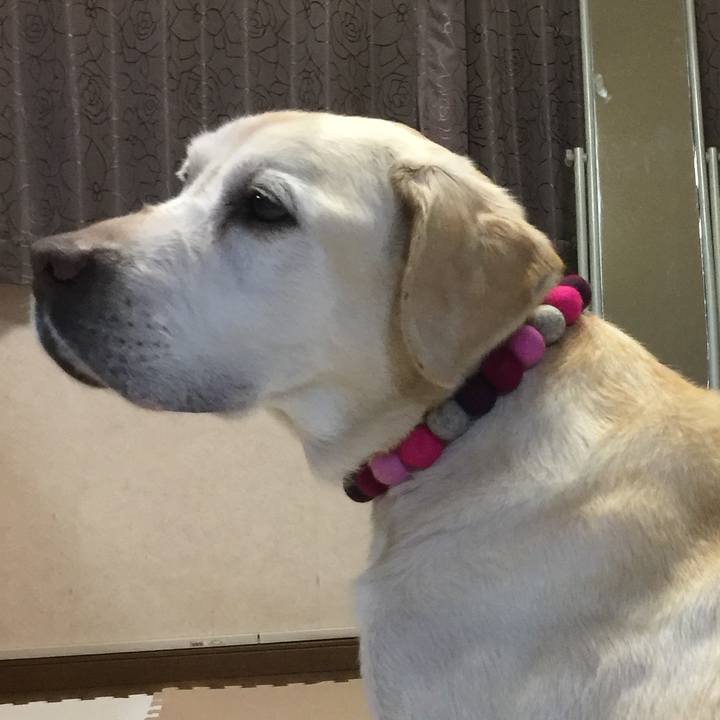 Ecbe2c56 9506 4985 ae29 c28b203f49ae 1548069988705